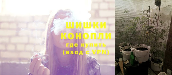 Альфа ПВП Новодвинск