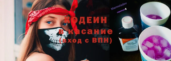 Альфа ПВП Новодвинск