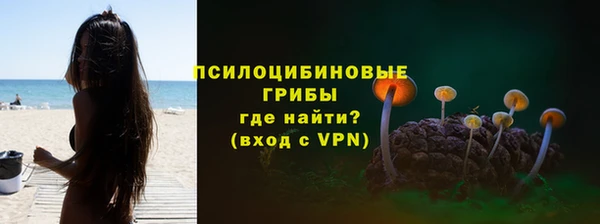 прущие крисы Кирс