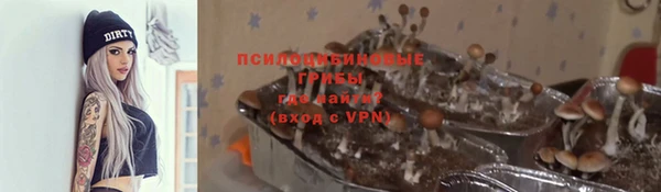альфа пвп Новокубанск
