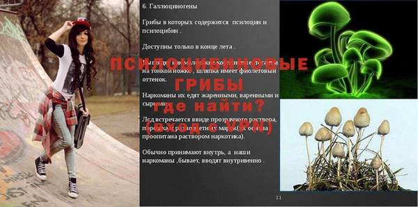 spice Новозыбков