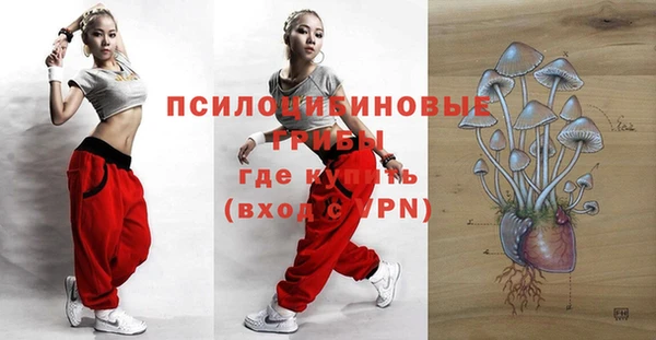 spice Новозыбков