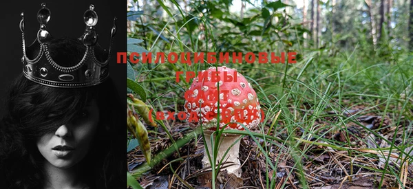 spice Новозыбков