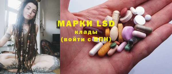 Альфа ПВП Новодвинск