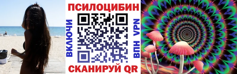 Галлюциногенные грибы Magic Shrooms  цена   Краснозаводск 